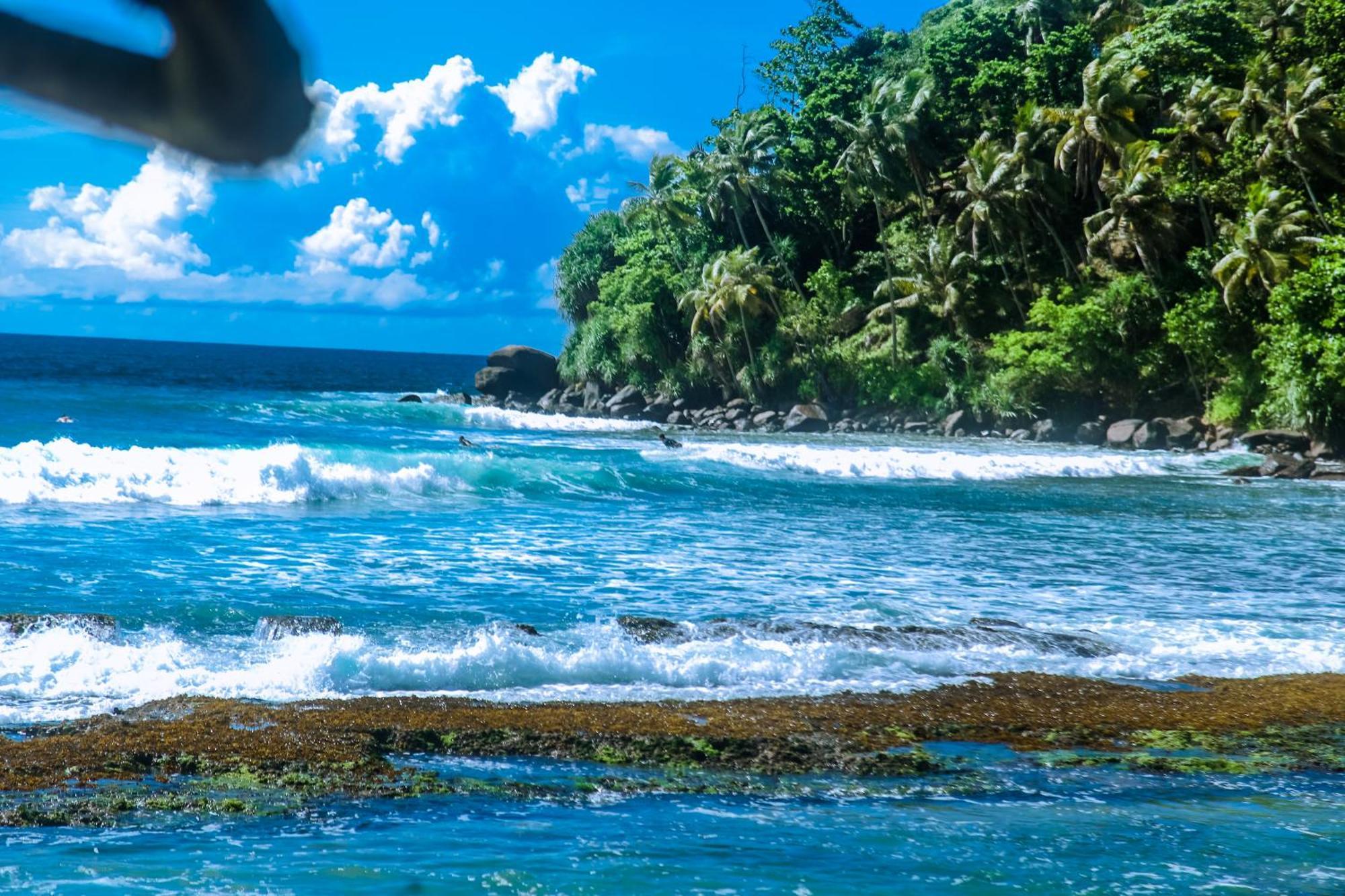 Surf Sea Breeze Hotel Mirissa Bagian luar foto