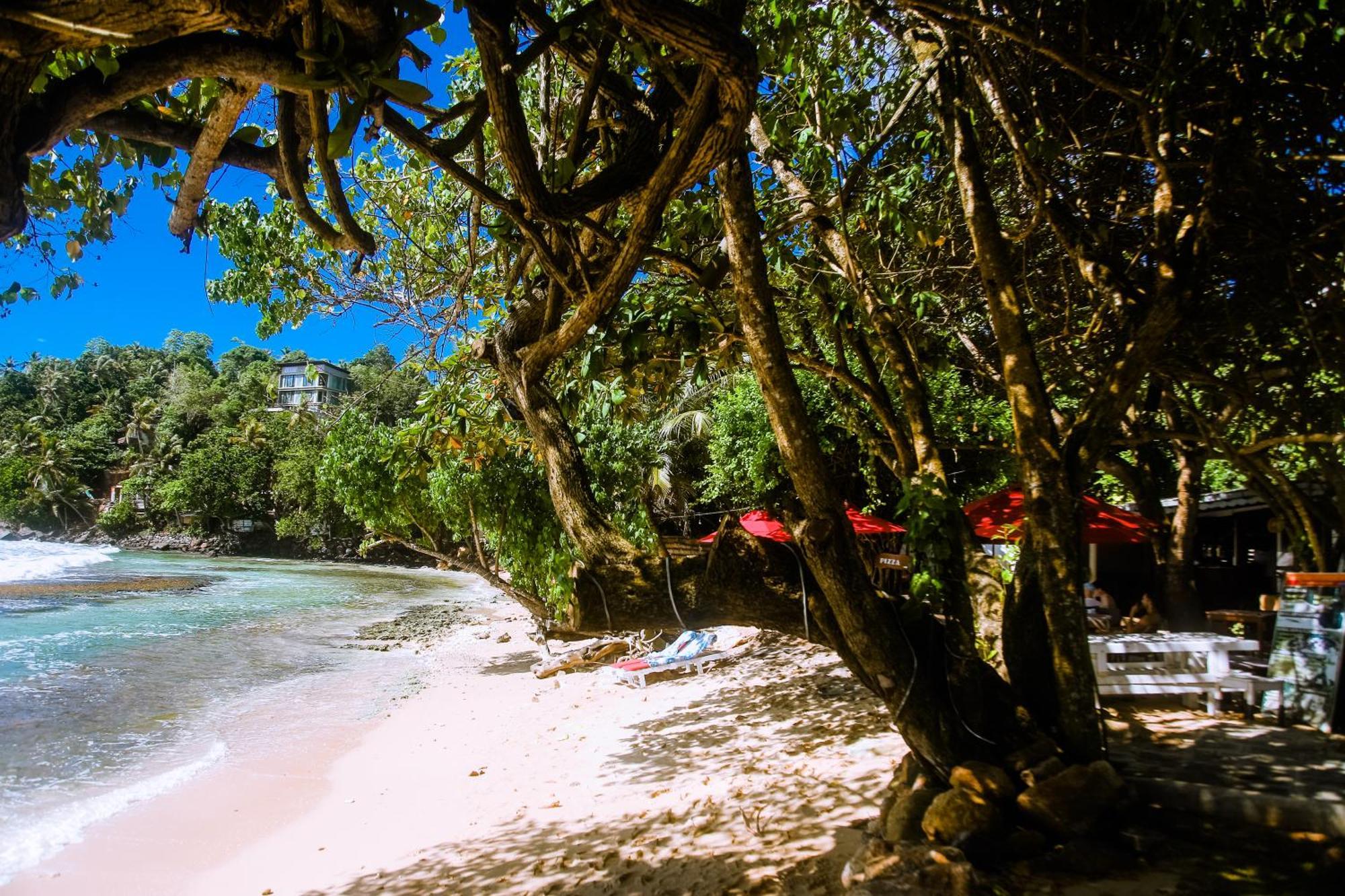 Surf Sea Breeze Hotel Mirissa Bagian luar foto