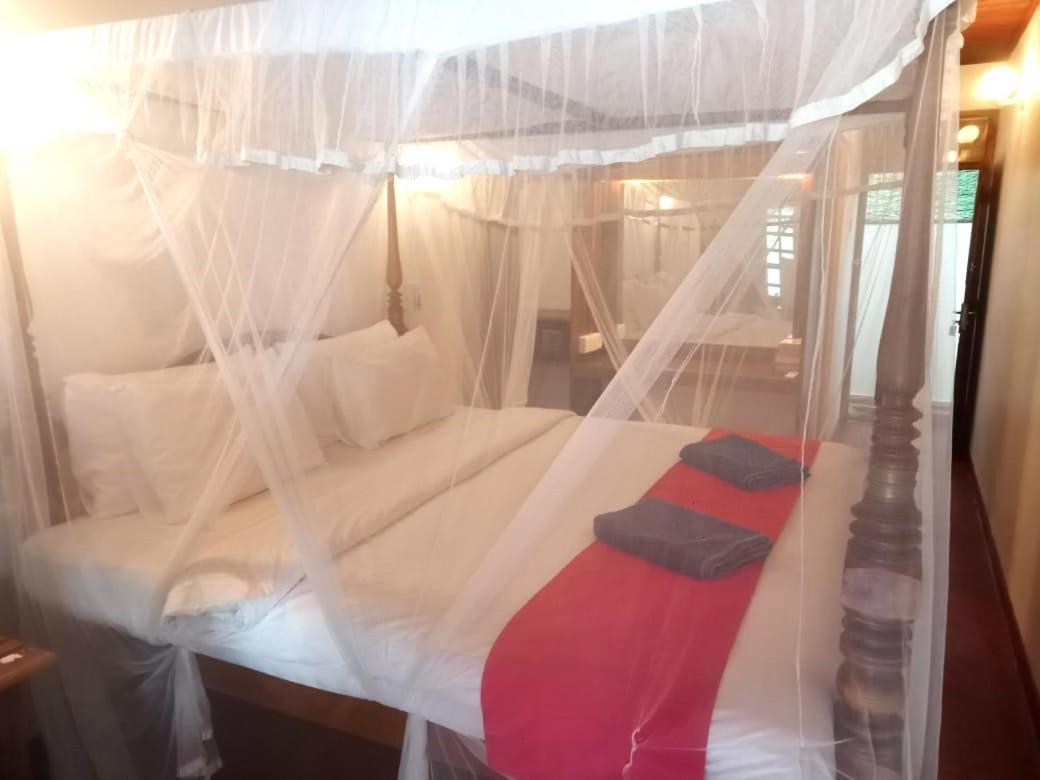 Surf Sea Breeze Hotel Mirissa Bagian luar foto